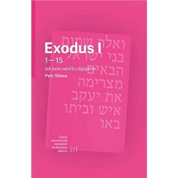 Exodus I: Jak jsem zatočil s Egyptem (978-80-7545-054-8)