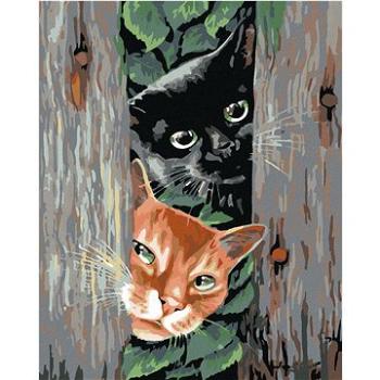 Malování podle čísel - Číhající kočky (HRAmal00106nad)