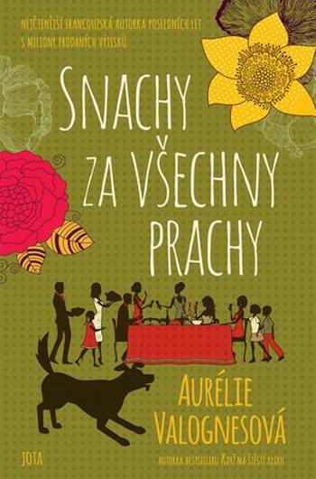 Snachy za všechny prachy - Valognesová Aurélie