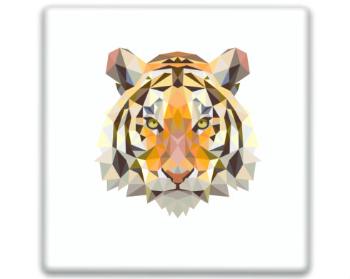 3D samolepky čtverec - 5kusů Tygr