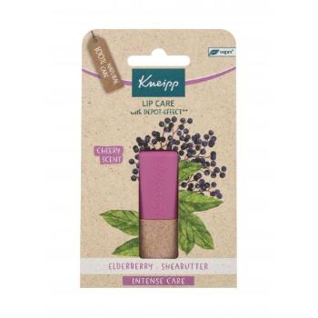 Kneipp Lip Care Elderberry Balm 4,7 g balzám na rty pro ženy