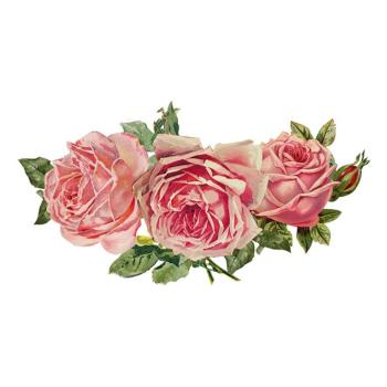 Nástěnná kovová cedule s růžemi Roses - 34*1*20 cm 6Y5039