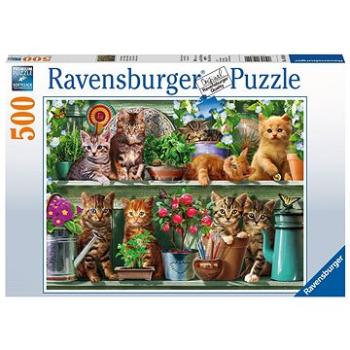 Ravensburger 148240 Kočky na knihovně (4005556148240)