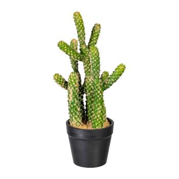 Gasper Umělý kaktus Euphorbia, 25 cm