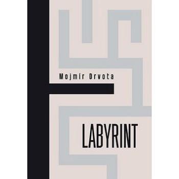 Labyrint (978-80-7438-133-1)