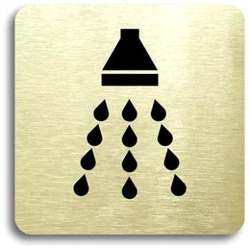 Accept Piktogram "sprcha" (80 × 80 mm) (zlatá tabulka - černý tisk bez rámečku) (PIKTO.030A.ZC)