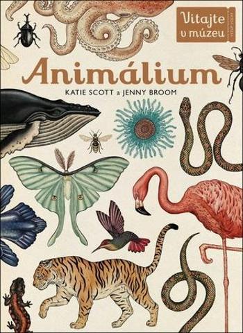 Animálium - Scott Katie