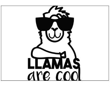 Plakát typ A4-A0 Llamas are cool