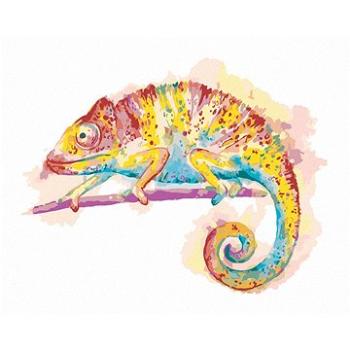 Diamondi - Diamantové malování - BAREVNÝ CHAMELEON NA BÍLÉM POZADÍ, 40x50 cm, bez rámu a bez vypnutí (606058A)