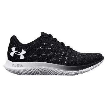 Under Armour FLOW VELOCITI WIND 2 Pánské běžecké boty, černá, velikost 45