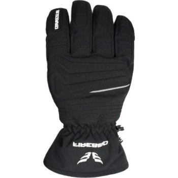 Blizzard FIREBIRD SKI GLOVES Rukavice, černá, velikost 9