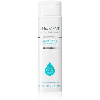 Ameliorate Clarifying Shampoo hloubkově čisticí šampon pro suchou a svědící pokožku hlavy 250 ml
