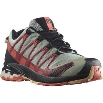 Salomon XA PRO 3D V8 GTX W Dámská trailová obuv, šedá, velikost 40