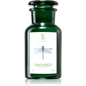 Vila Hermanos Talisman Dragonfly vonná svíčka 250 g