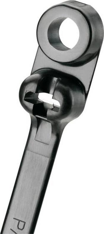 Kotvící pásek Panduit 216 mm x 4.7 mm BC2S-S10-C0