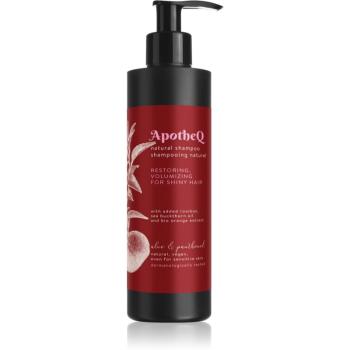 Soaphoria ApotheQ Aloe & Panthenol šampon pro lesk a hebkost vlasů 250 ml