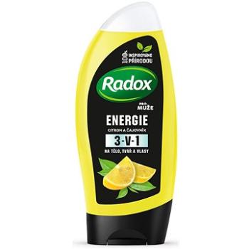 Radox Energie sprchový gel pro muže 250ml (8710522406632)