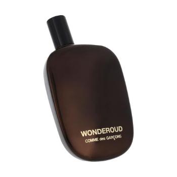 COMME des GARCONS Wonderoud 100 ml parfémovaná voda unisex