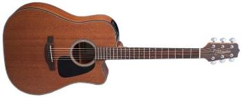 Takamine GD11MCE-NS