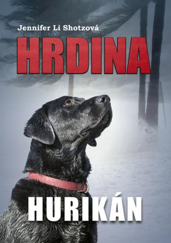 Hrdina: Hurikán - Jennifer Li Shotzová - e-kniha