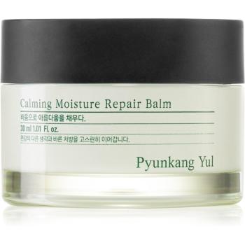 Pyunkang Yul Calming Moisture Repair Balm regenerační a hydratační balzám pro citlivou pleť 30 ml