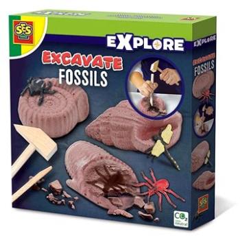 SES Vykopávky fosilií (8710341250669)