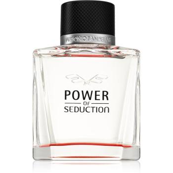 Antonio Banderas Power of Seduction toaletní voda pro muže 100 ml