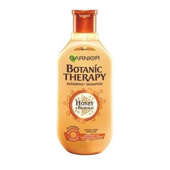 GARNIER Botanic Therapy Honey & Beeswax Shampoo 250 ml (3600542094450)