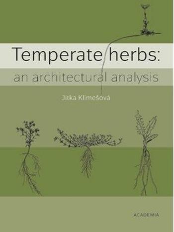 Temperate herbs - Jitka Klimešová