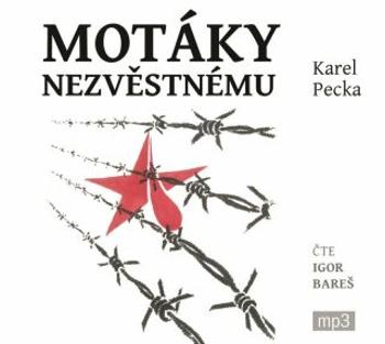 Motáky nezvěstnému - Karel Pecka - audiokniha