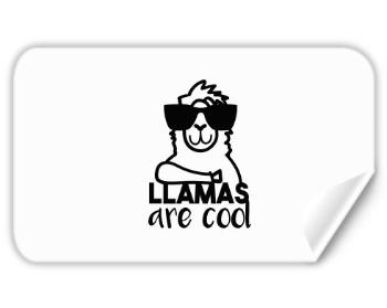Samolepky obdelník - 5 kusů Llamas are cool