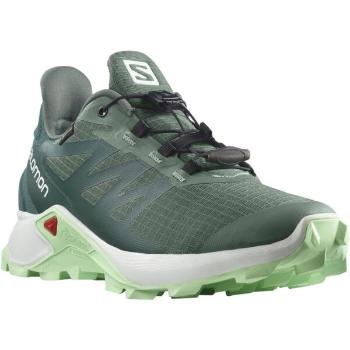 Salomon SUPERCROSS 3 GTX W Dámská trailová obuv, zelená, velikost 39 1/3