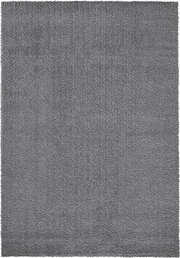 Festival koberce Kusový koberec Delgardo K11501-04 Silver - 160x230 cm Šedá