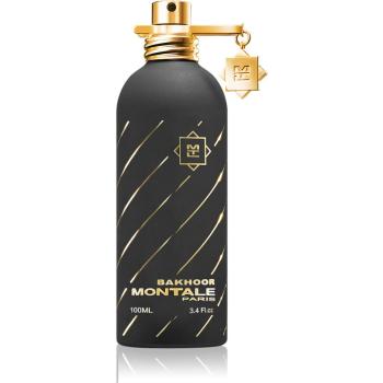 Montale Bakhoor parfémovaná voda unisex 100 ml