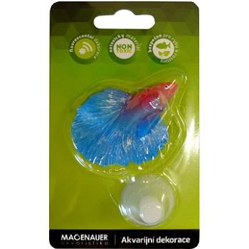 Macenauer Dekorace Betta Splendens modrá/fialová 1 ks (8595092800772)