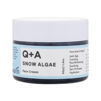 Q+A Snow Algae Intensive Face Cream 50 g denní pleťový krém W na všechny typy pleti; proti vráskám; zpevnění a lifting pleti; na dehydratovanou pleť
