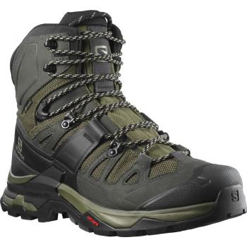 Salomon QUEST 4 GTX Pánská treková obuv, khaki, velikost 41 1/3