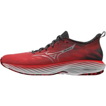 Mizuno WAVE RIDER 28 Pánská běžecká obuv, červená, velikost 46