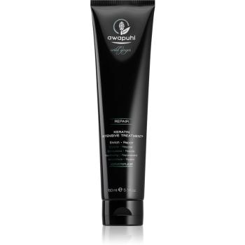 Paul Mitchell Awapuhi Wild Ginger regenerační maska pro suché a poškozené vlasy 150 ml