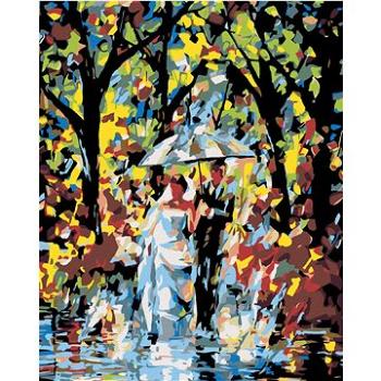 Malování podle čísel - Nevěsta s ženichem v dešti (HRAmal00491nad)