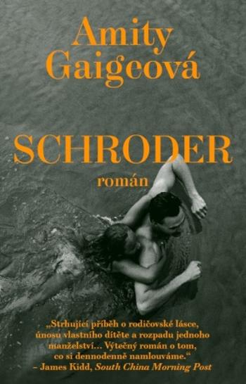 Schroder - Amity Gaigeová - e-kniha