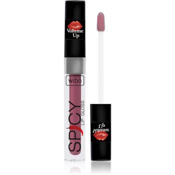 Wibo Lip Gloss Spicy lesk na rty pro větší objem 1 3 ml