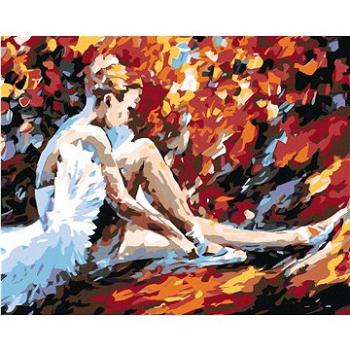 Malování podle čísel - Sedící baletka (HRAmal00252nad)