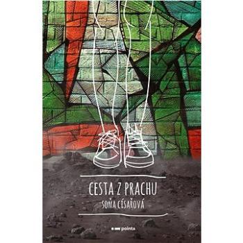 Cesta z prachu   (978-80-7650-708-1)