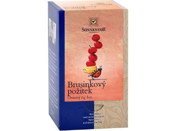 Sonnentor Bio Brusinkový požitek čaj porc. dvoukomorový 50,4g (18 sáčků)
