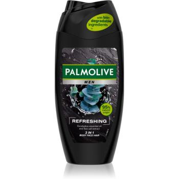 Palmolive Men Refreshing sprchový gel pro muže 2 v 1 pro muže 250 ml