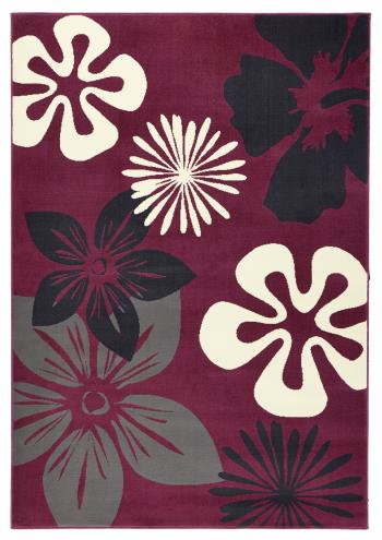 Hanse Home Collection koberce Kusový koberec Gloria 102401 - 120x170 cm Fialová