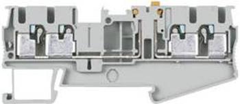 Oddělovací svorka konektor, zásuvná svorka Siemens 8WH60046CF00, šedá, 50 ks