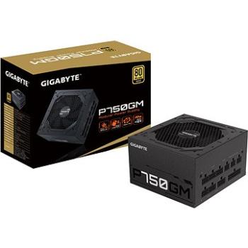 GIGABYTE P750GM (GP-P750GM)