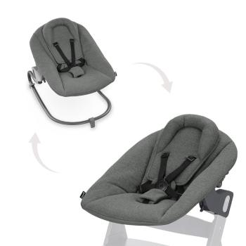 Hauck Alpha+ Bouncer premium Dark Grey